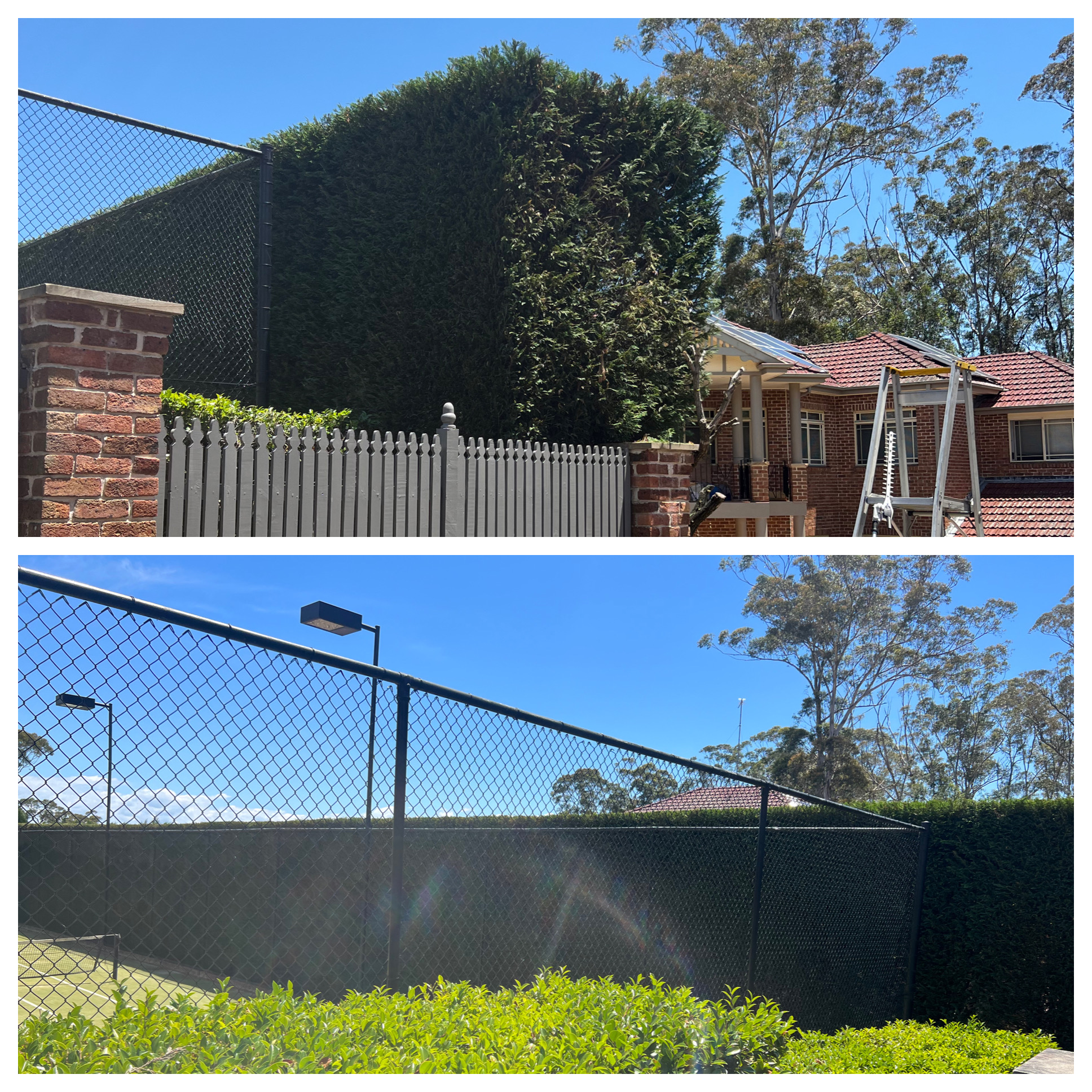 Commercial hedge maintenance, Cronulla