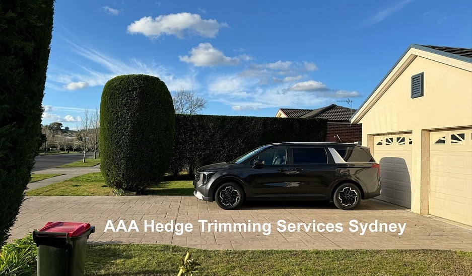 Garden hedge and boundary maintenance, Cronulla