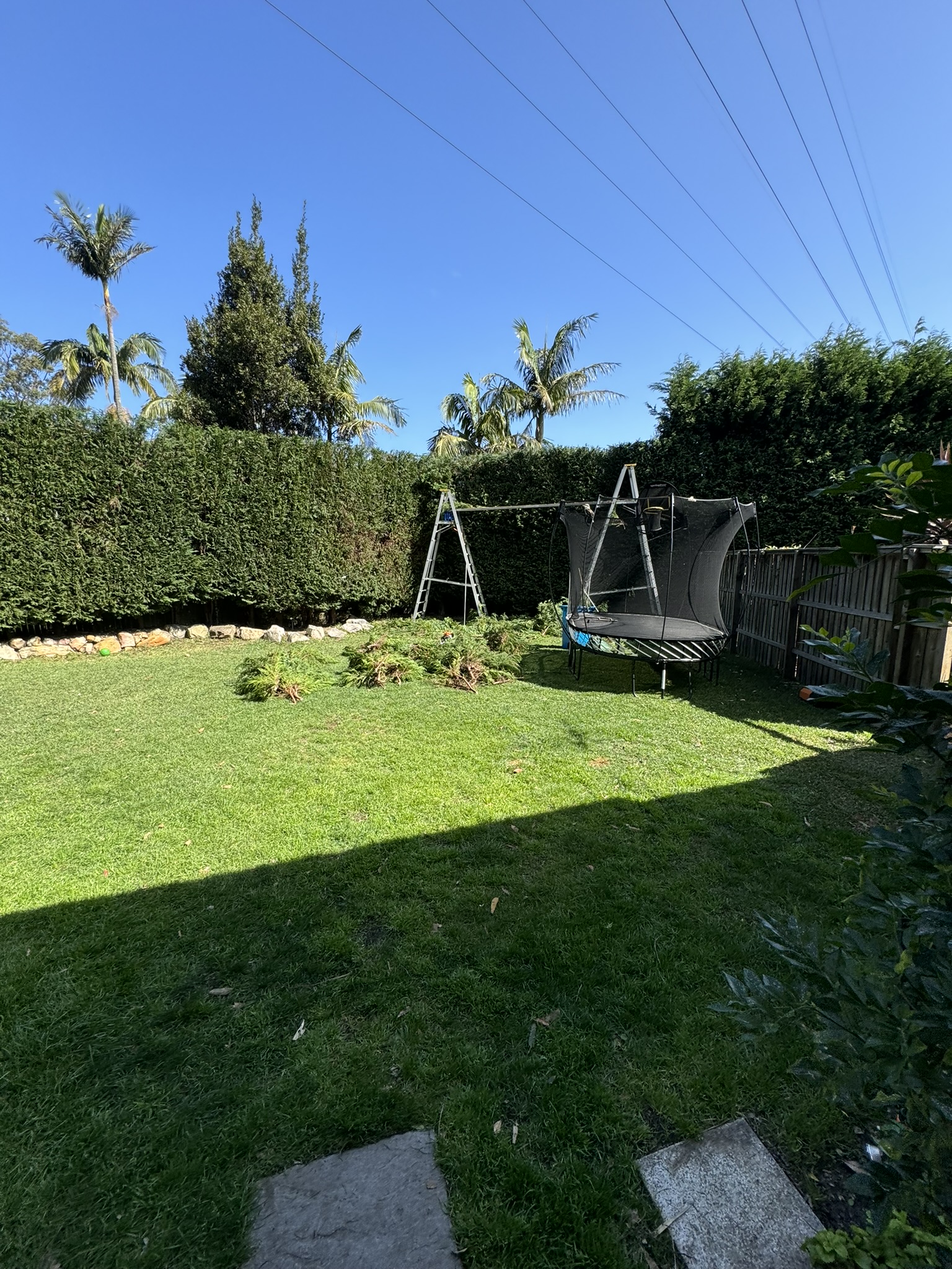 Shaped hedge and lawn edge