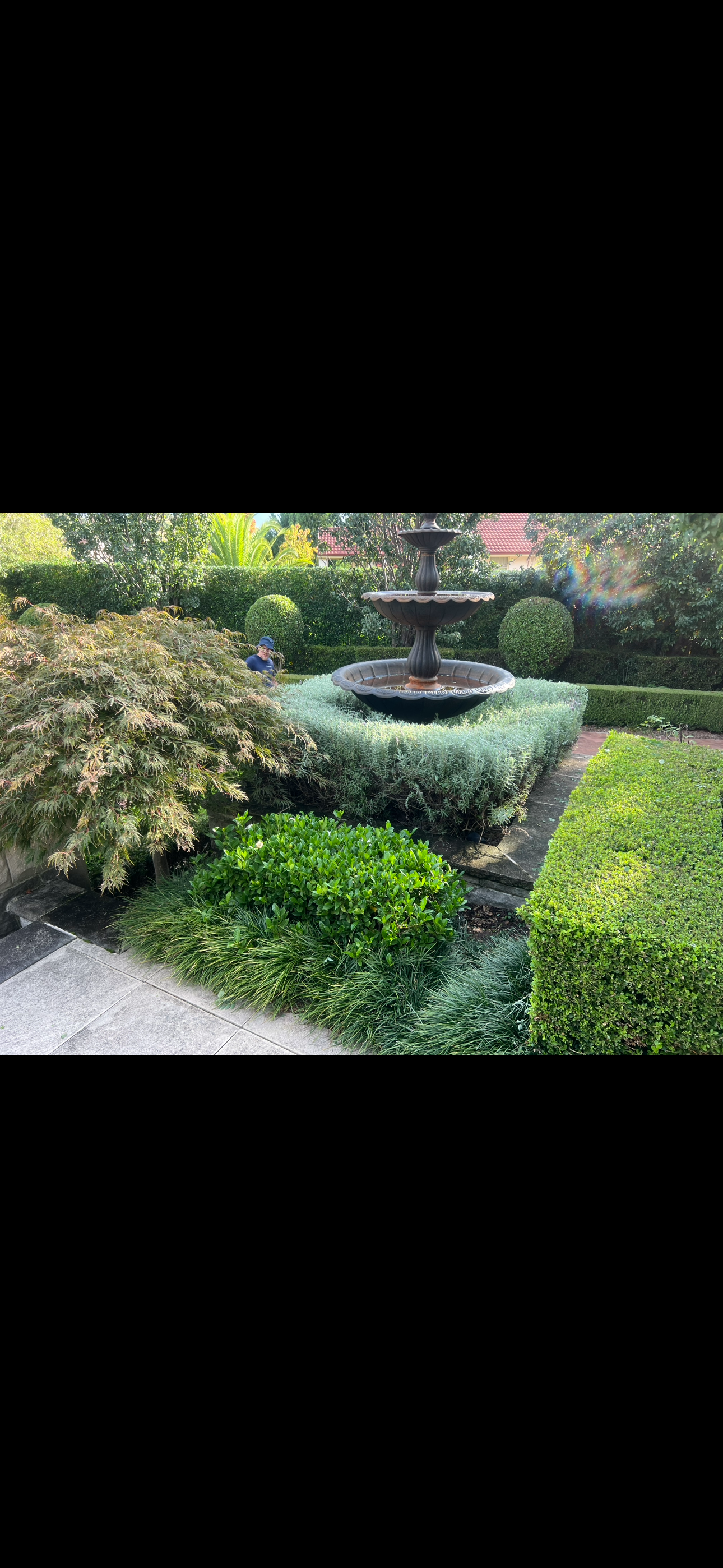 Topiary balls around a garden fountain, Cronulla